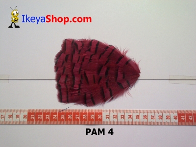 bulu PAD motif PAM 4   feather  large2